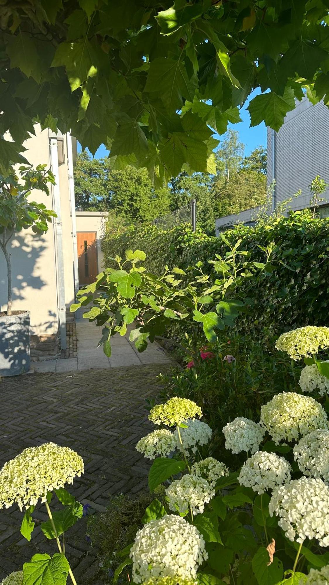 Luxe B&B "In De Schulp", Ontspan En Geniet Van Comfort En Stijl Amstelveen Eksteriør bilde
